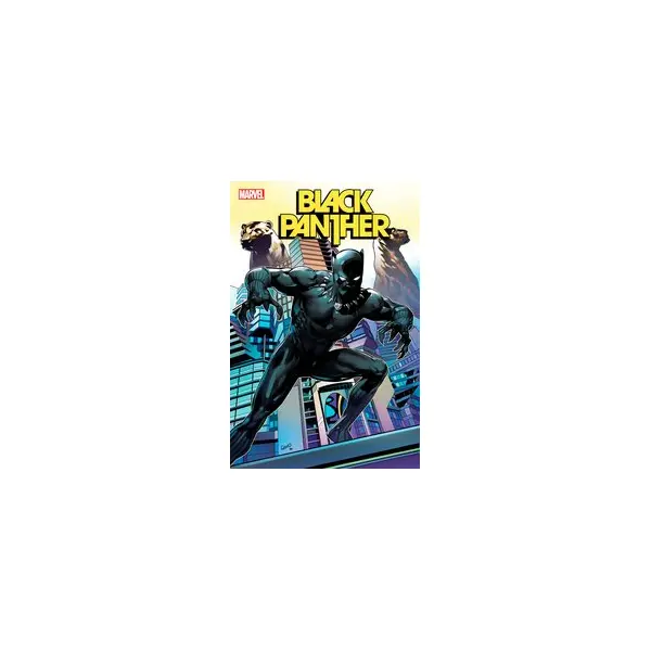 BLACK PANTHER #5 LAND VAR